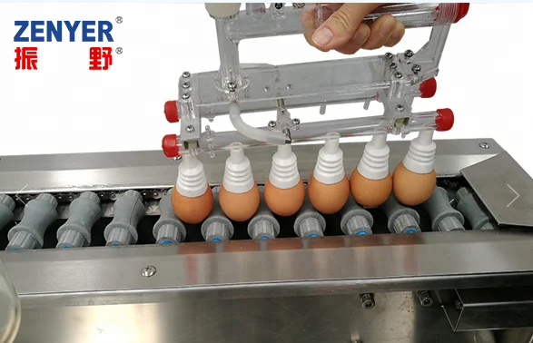
Chicken egg washing machine egg processing equipment 