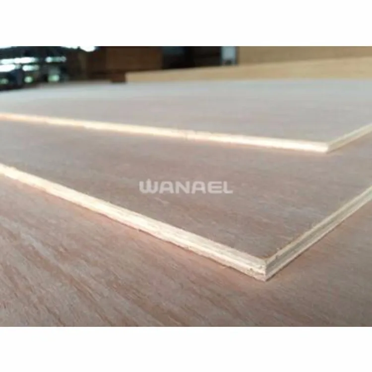 Wanael 18Mm Marine Plywood Board