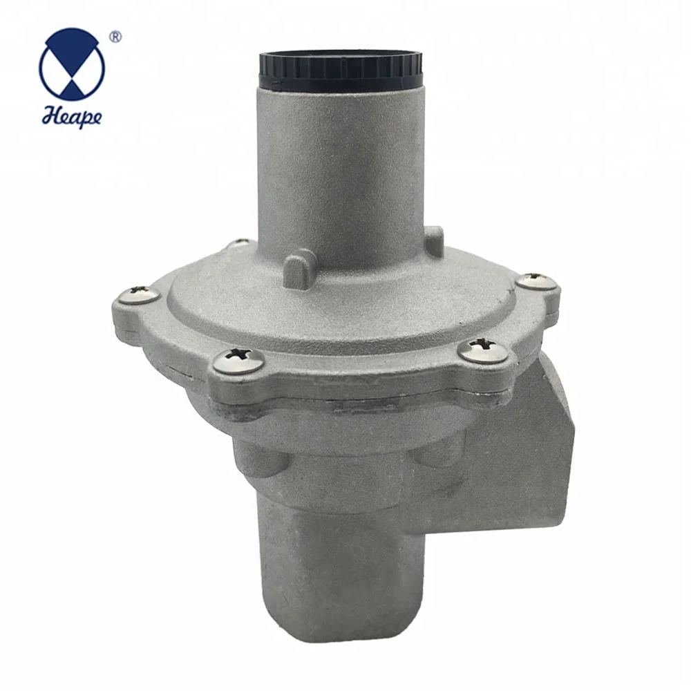 
HEAPE Europe And India Standard Pipe Natural Gas Regulator 