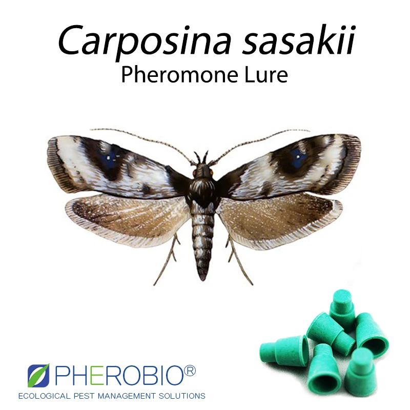 Персиковый фруктовый моль Carposina sasakii приманка феромона