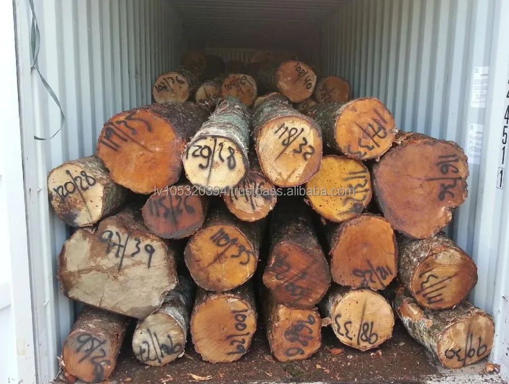 White Birch Logs - Latvia origin