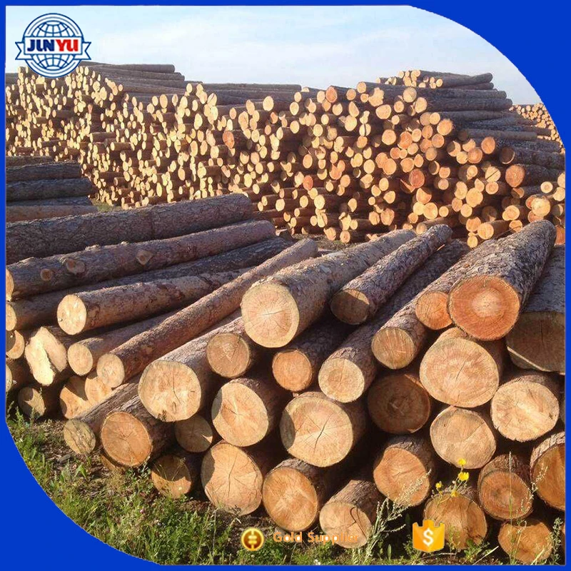 
Siberian larch wood lumber with best quality and price 