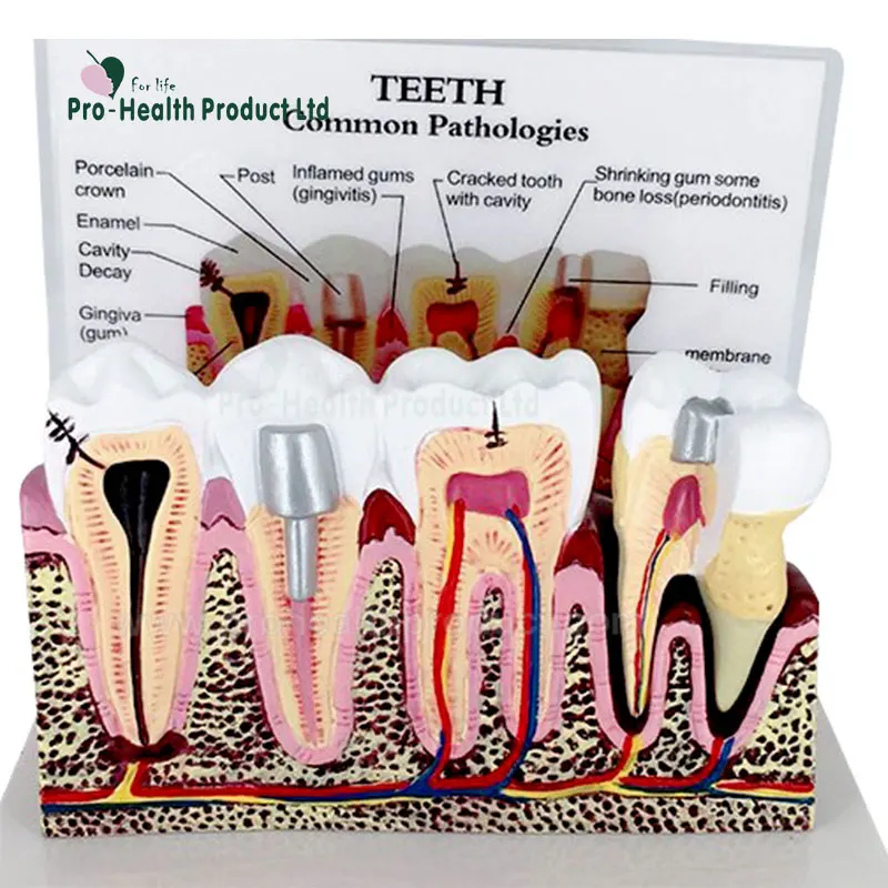 800x800logoPH03-131(02)