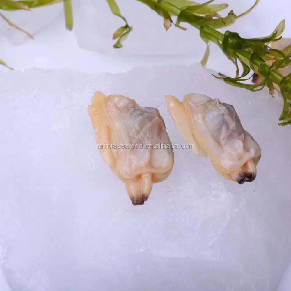 
IQF frozen shellfish clam without shell from Chinese seafood supplier 