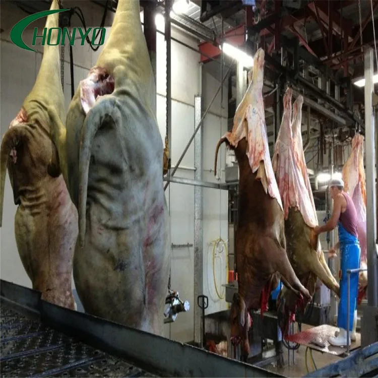 Supplier Good Quality Slaughtering Line in Meat Processing in cattle slaughterhouse equipment