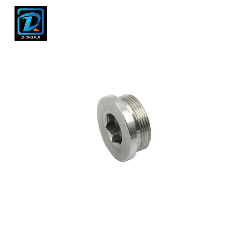 DIN 908 904L Stainless Steel Hexagon Socket Screw Plug