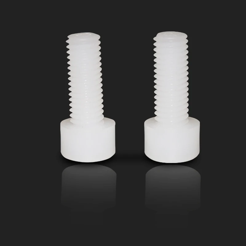 Chinese factory supply Hexagon socket head PVDF Plastic screw