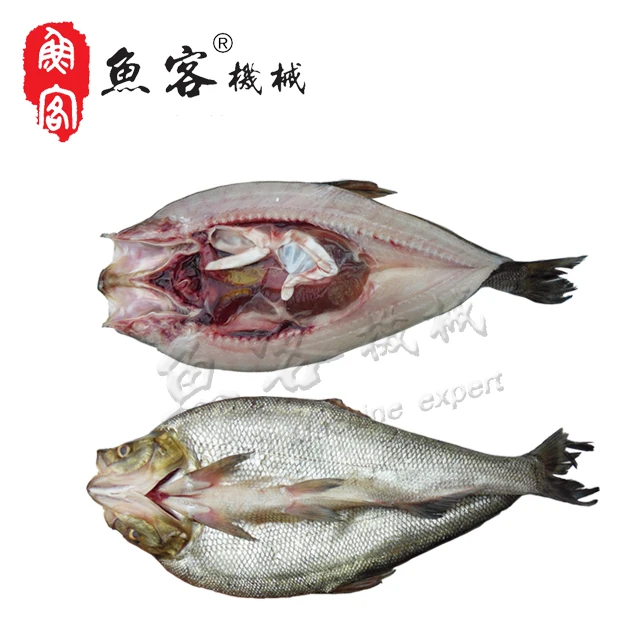 Hot Sale Factory Price Fish Processing Machine Fish Fillet Cutting  Machine fish cutter with CE