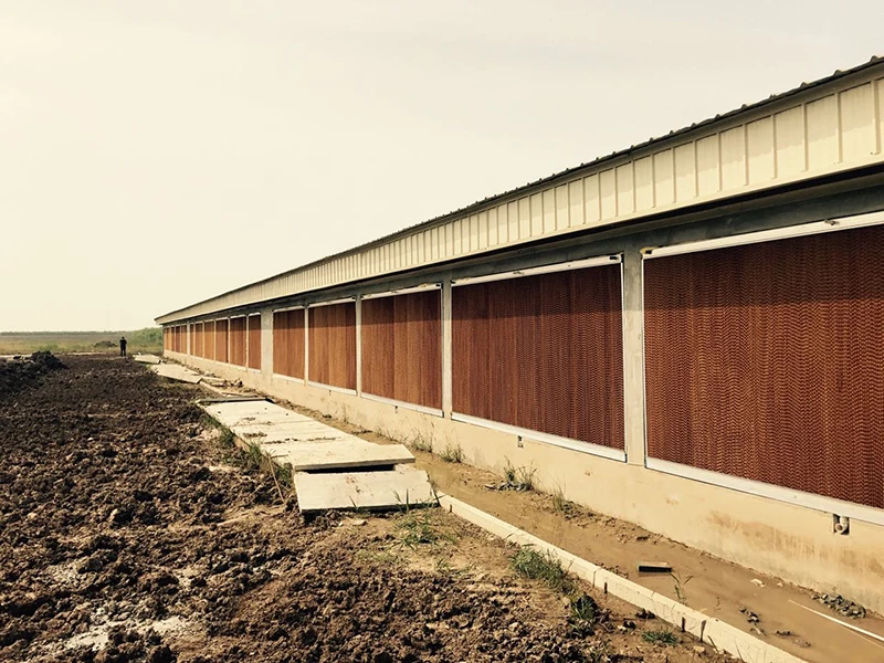 Celdek cooling pad, cooling system for greenhouse, green evaporative cooling pad paper