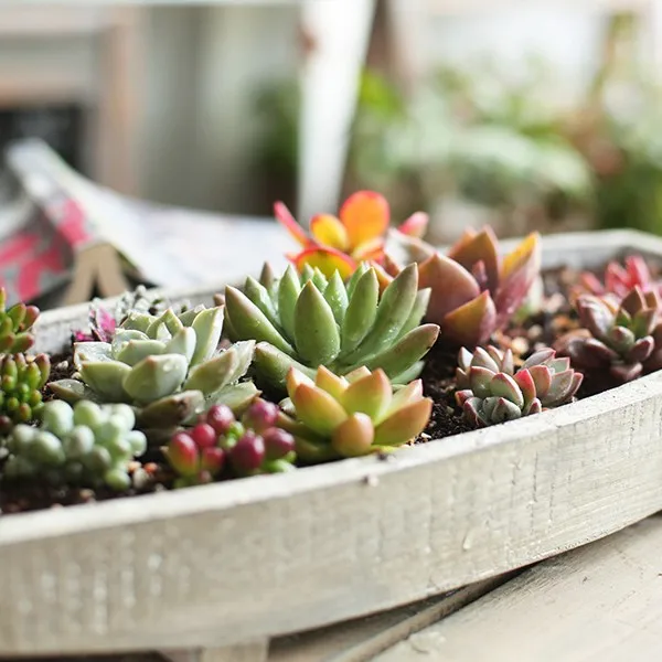 solid wood boat shape wooden garden planter flower pot