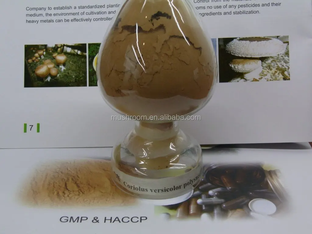  Органический экстракт грибов (Maitake shiitake reishi Львиная Грива кордицепс Turket tail всего 20 видов больше) GMP HACCP