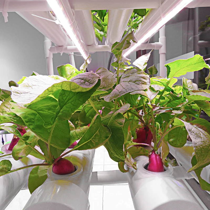 Complete Horticulture Indoor Home Indoor Gardening Grow Set Hydroponics Farm Systems Grow Box Cabinet Kits Grow Tent Supplies