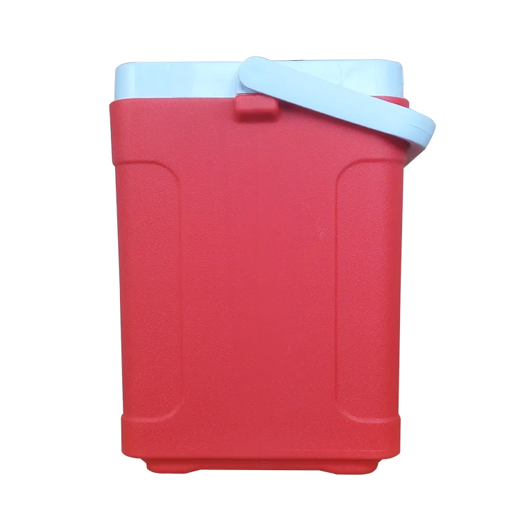 Portable cooler box with handle for camping, picnic, outdoor Ice chest