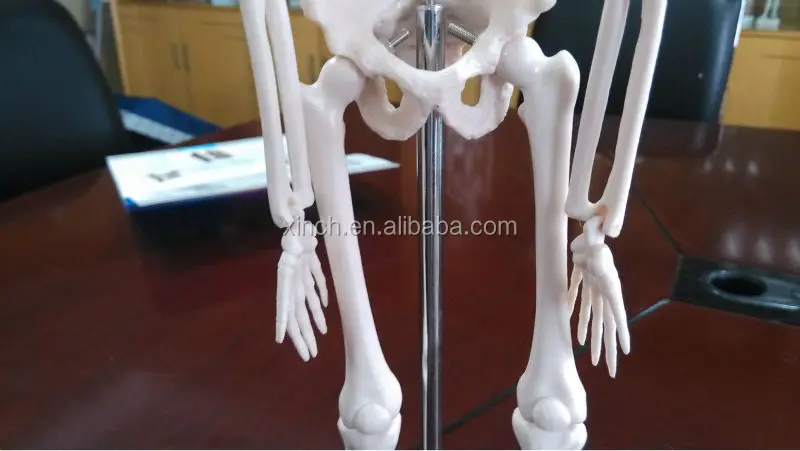 Маленькая липкая игрушка-скелет