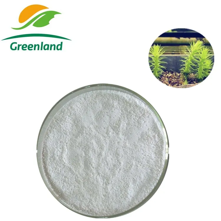 High Purity Huperzia Serrata Extrac Huperzine A 1% 5% 99% herbal Powder Cas102518-79-6