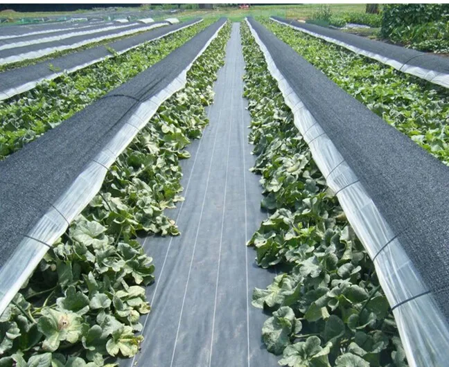 High Quality Ground Cloth Weed Control Fabric