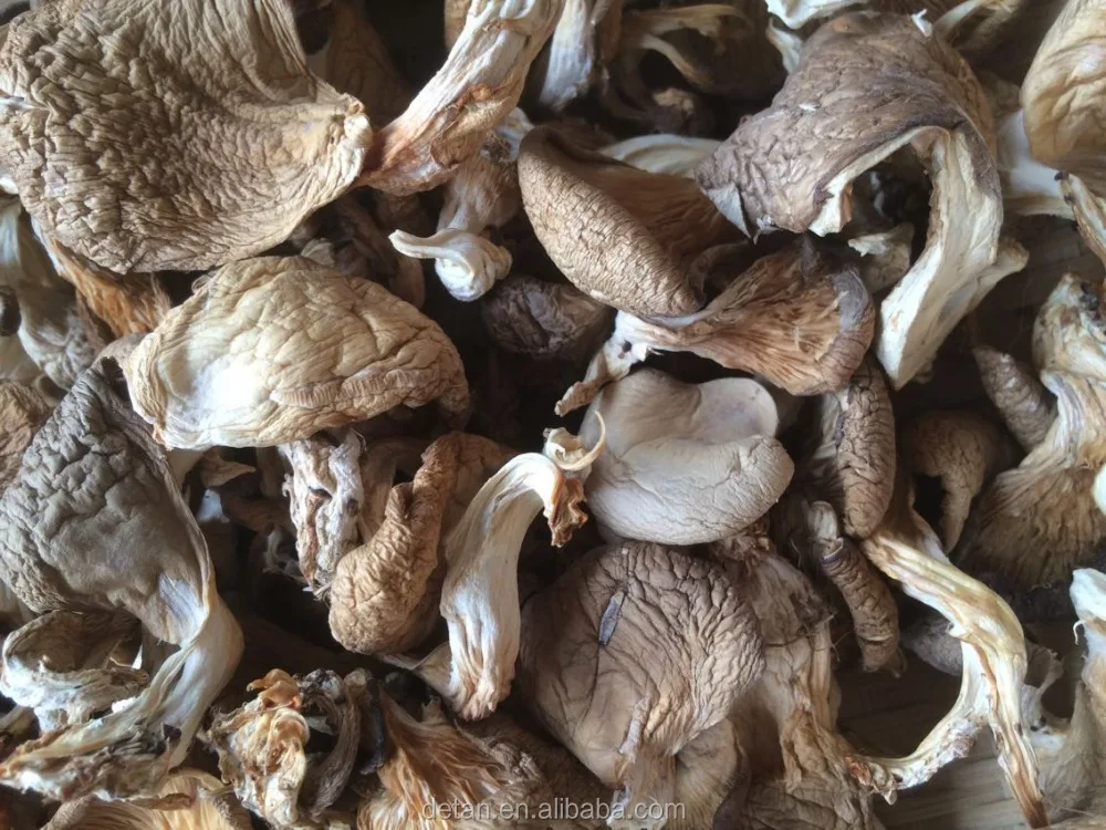 
Detan Dried Oyster Mushroom 
