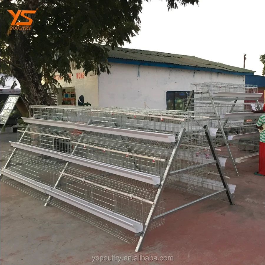 
fully automatic egg laying chicken poultry farm for sale in Ghana 