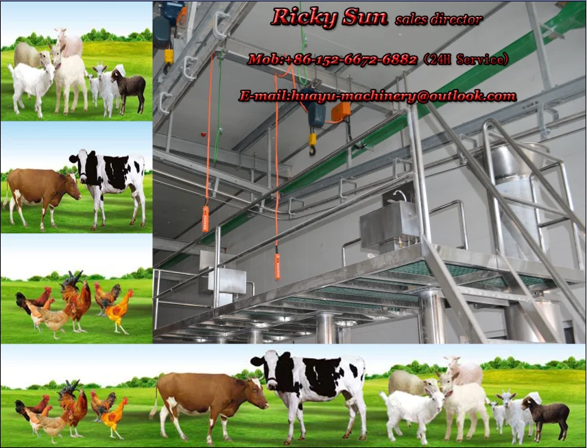 Овцы козы убоя оборудование модернизированная конструкция