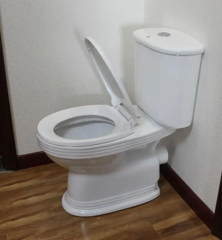 China Cheap Ceramic Twyford Toilets for Africa Market