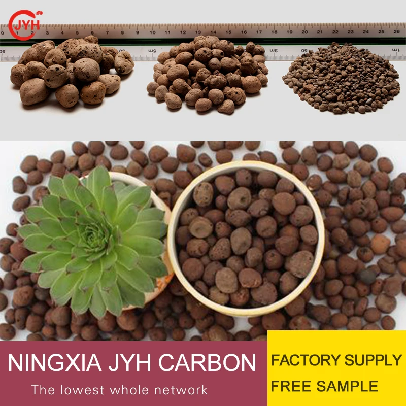 Supply Ceramsite Soilless Culture Hydroponic Plants Flower Home Decor Micro Landscape