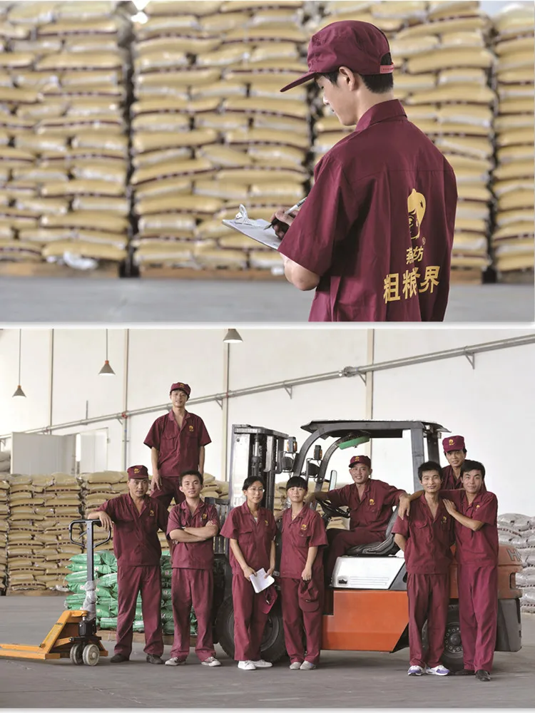 China best price black bean soybean price