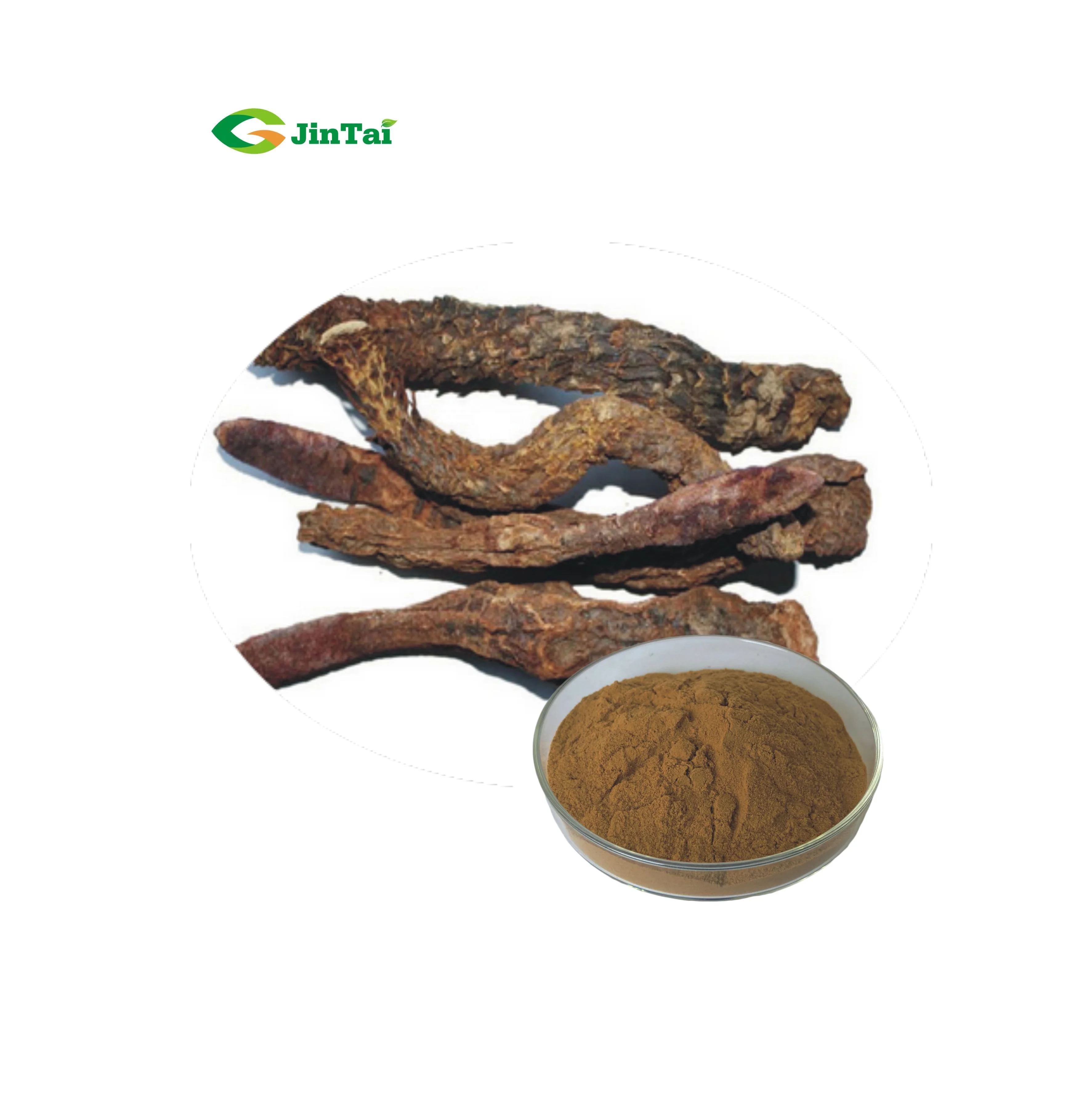 100% Pure Cistanche tubulosa extract powder cistanche powder 50:1, 100:1