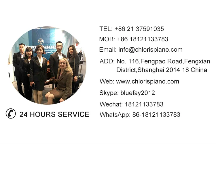 guitar or tool Aluminum Flight Case (PF-1GT)