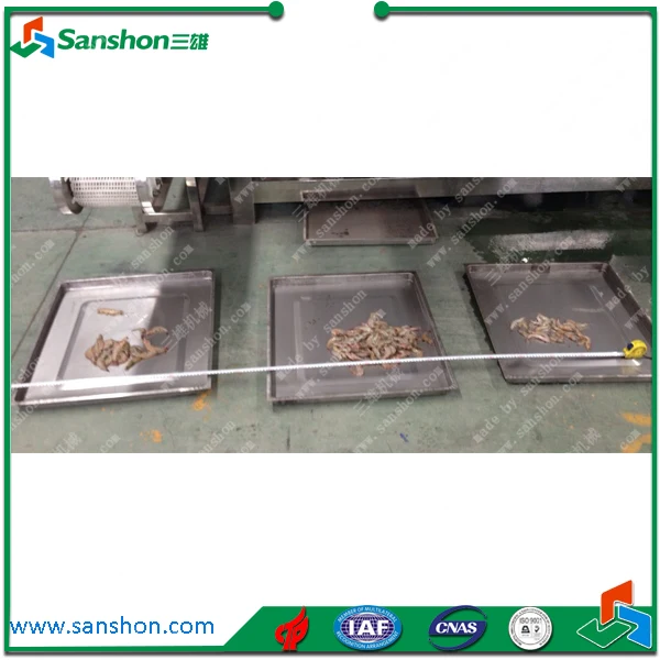 China Shrimp Pilchard Sardine Grading Machine Shrimp Grader