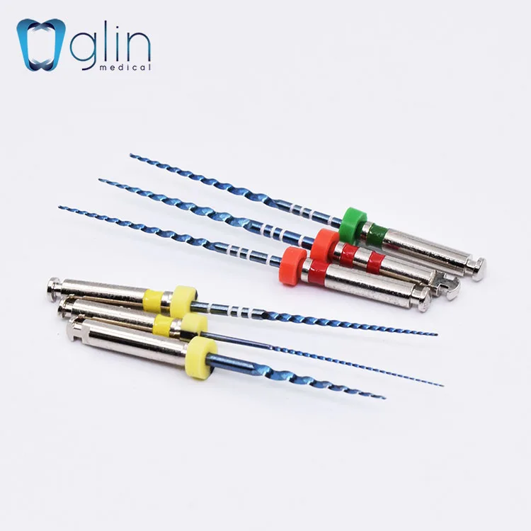 Durable GM3 Memory binco Denatl Files