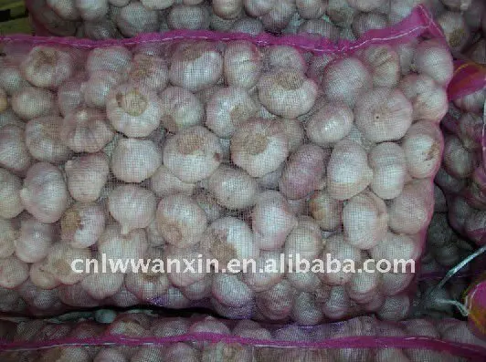 
chinese garlic for Indonesia market 