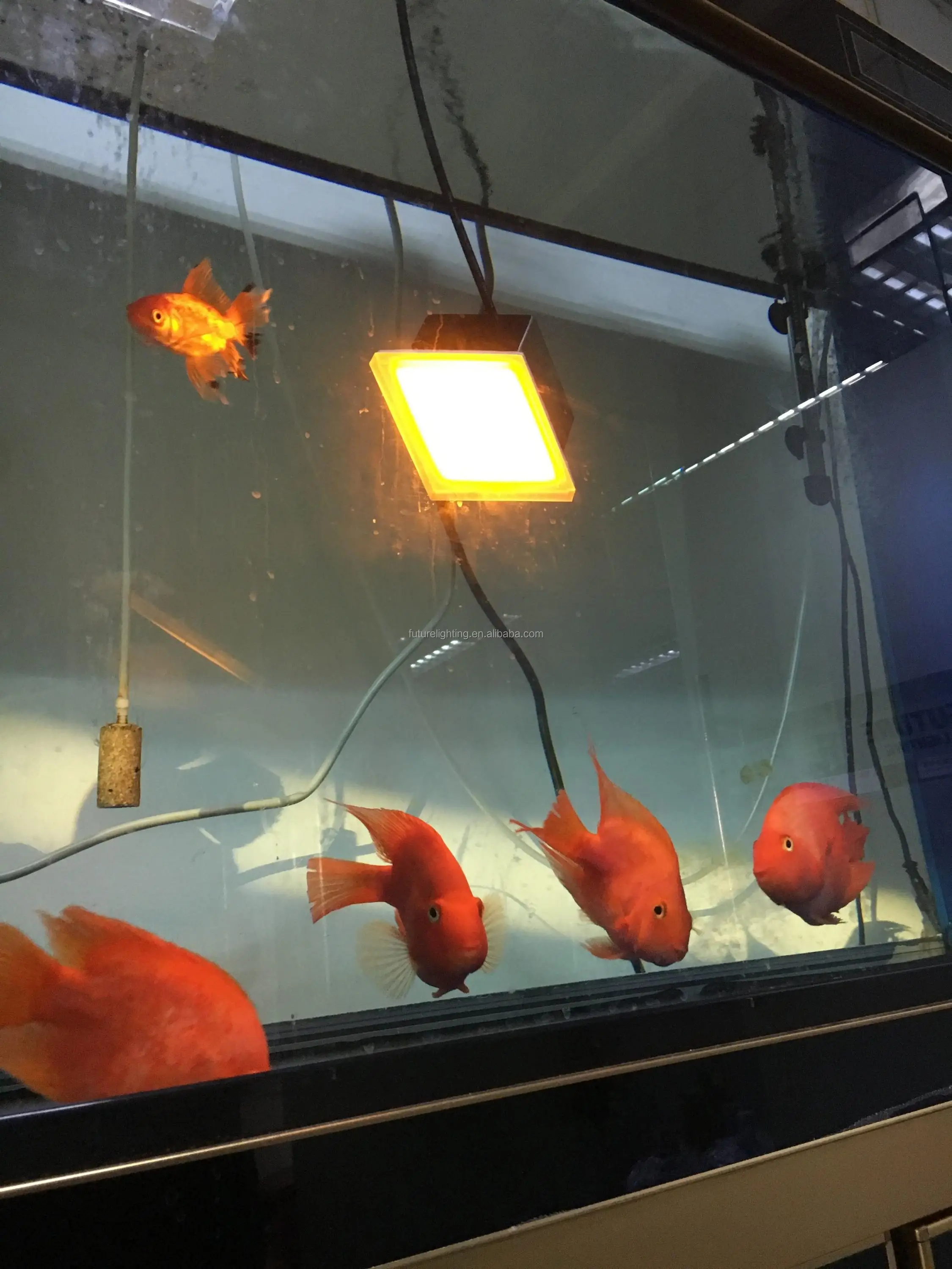 
Outdoor recessed light IP67 150x150mm led lights for glass shelf led tile 