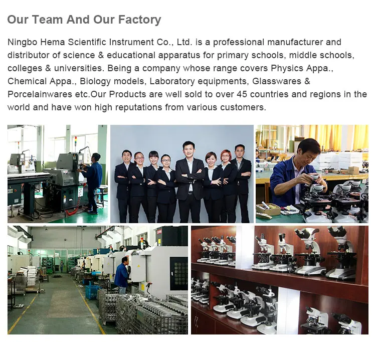 company-information2+_03.jpg