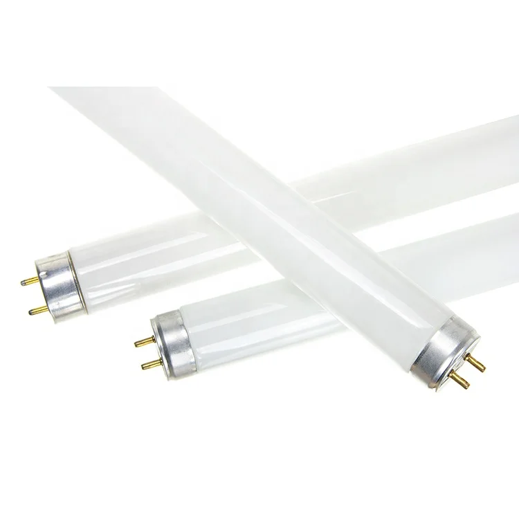 Manufacturers from China sale t5 led tube 24v led tube tube light led