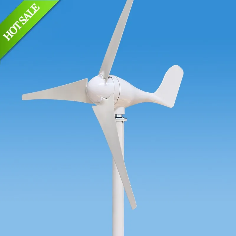 China 300W S Type micro wind mill HAWT wind generator