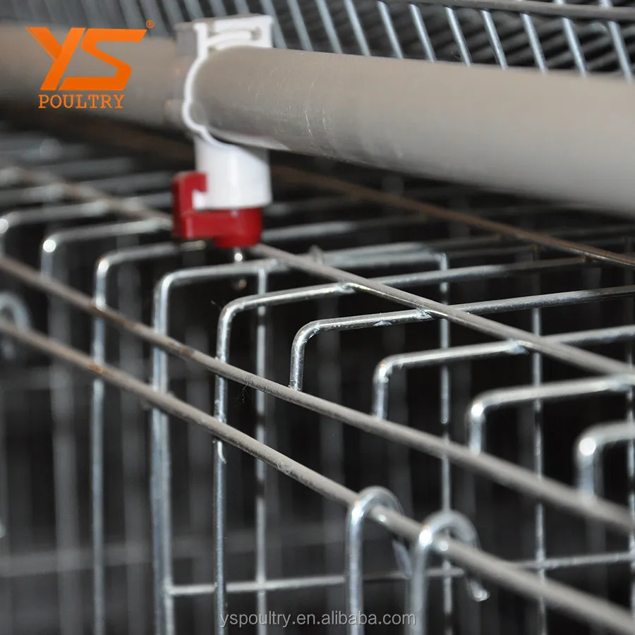 
A Type Automatic Chicken Layer Coop 