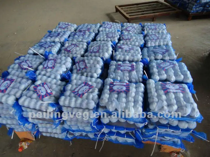 
Fresh garlic new 2018 