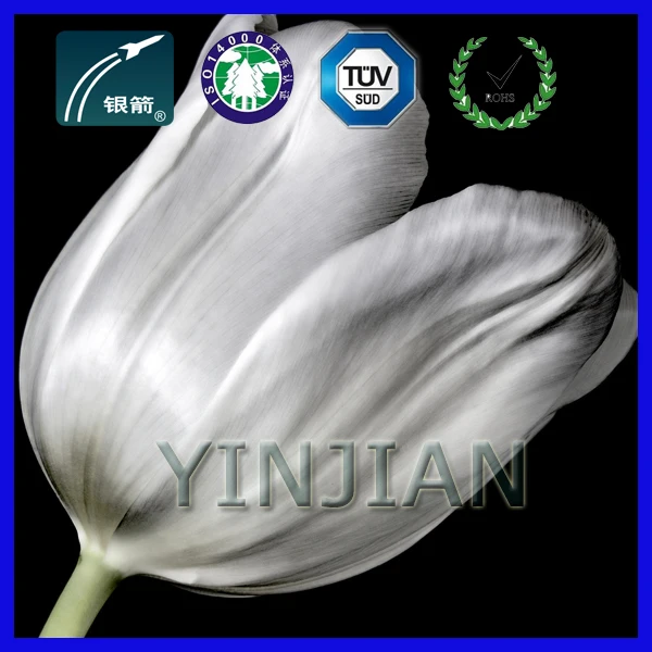 produce in China-Special aluminum paste for car paint