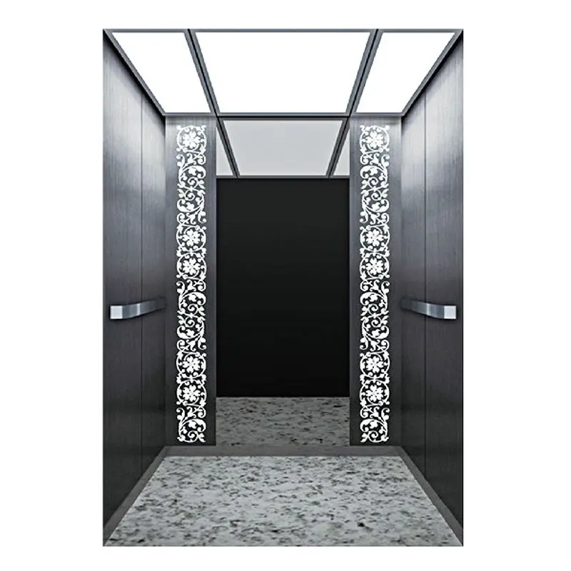 
High Quality Commercial Five Stars Handicap Elevator 
