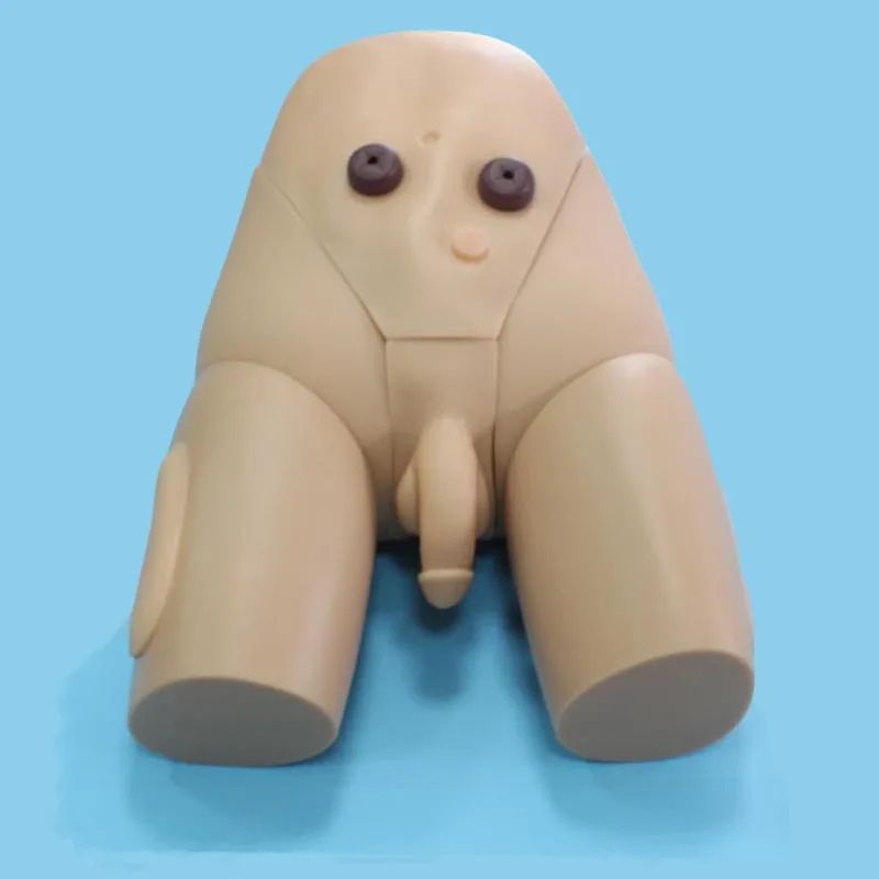 Care Hot Sale Chinon Women Male Simulator Advanced Nursing Training Urethral Catheterization Female Genital Model