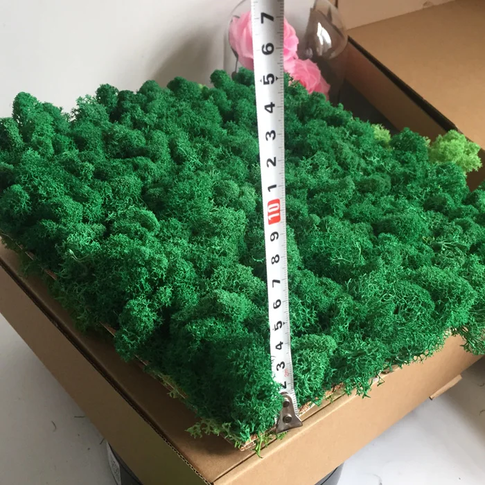 Interior Decoration Office Green Wall Panels Reindeer Preserved Moss