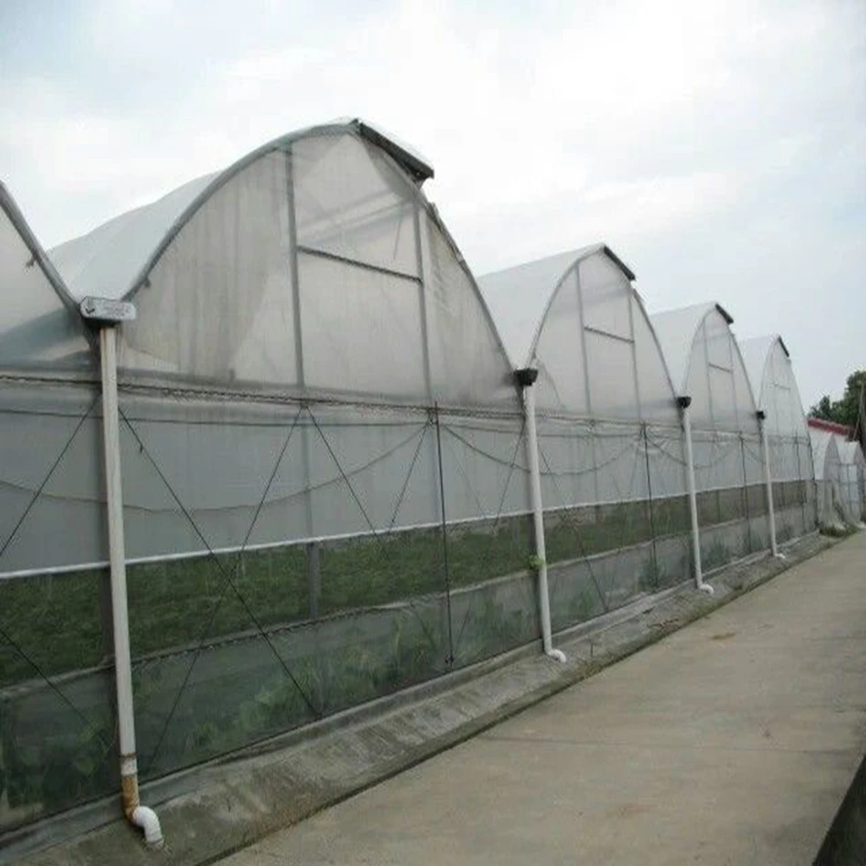 Agricultural Commercial Multi-span Film Greenhouse Hydroponic Green Houses wholesale with Irrigation for Plants