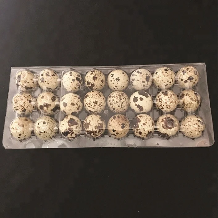 Factory price clear disposable 24 cells plastic quail egg tray