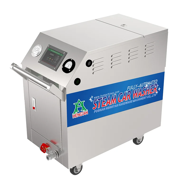 Professional Factory Manufacturer of Steam Car Washer