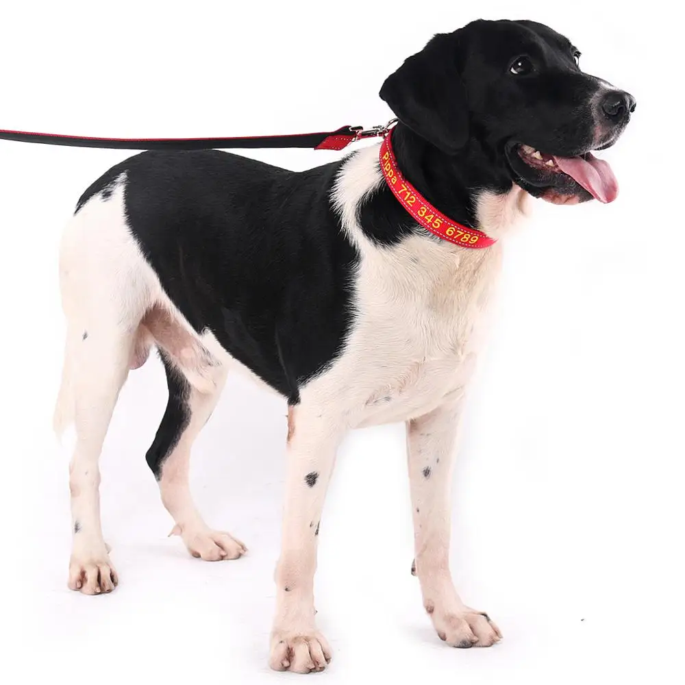 Personalized ID Collars with Pet Name and Phone Number, Embroidered Fabric Polyester Nylon Dog Collar