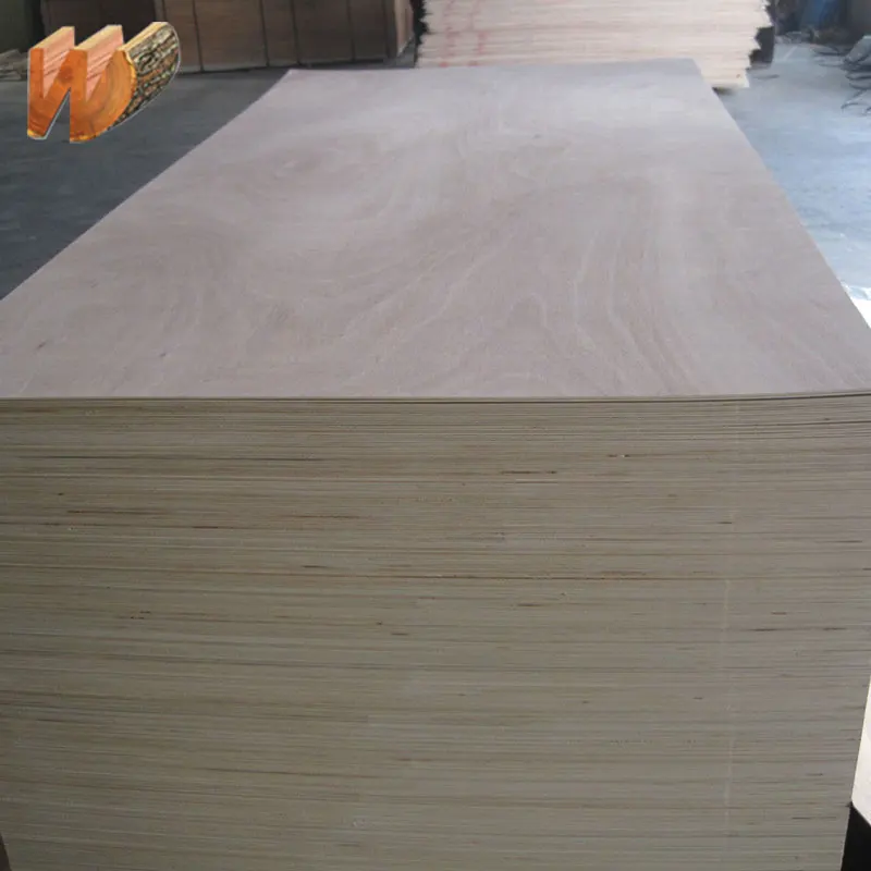 
plywood maple 