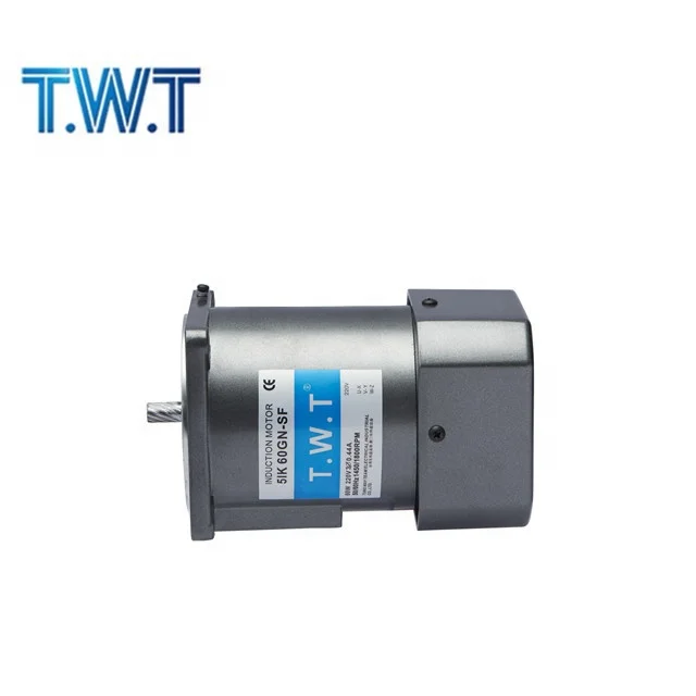 T.W.T 5IK60RGU--CF, 5GU180K,  220 V 3 phase AC Motor
