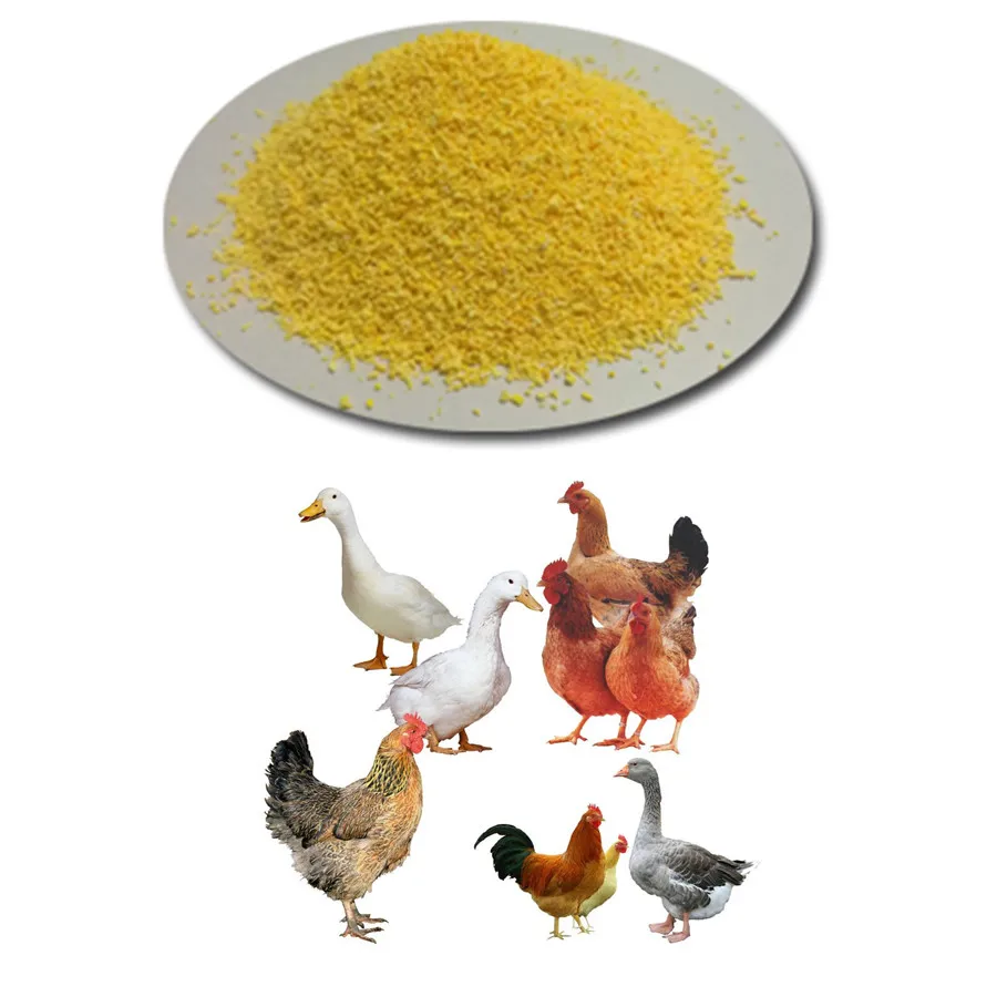 
Veterinary Vitamin Layer Medicine Improve Eggs Yolk Color 