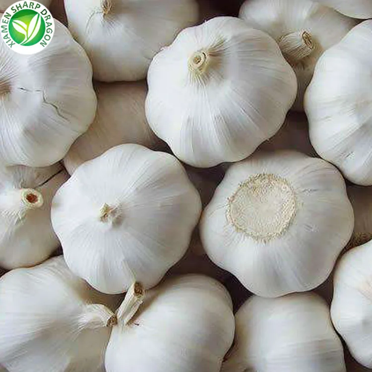 
Distributor Wholesale Fresh Chinese 4p Pure White Garlic 