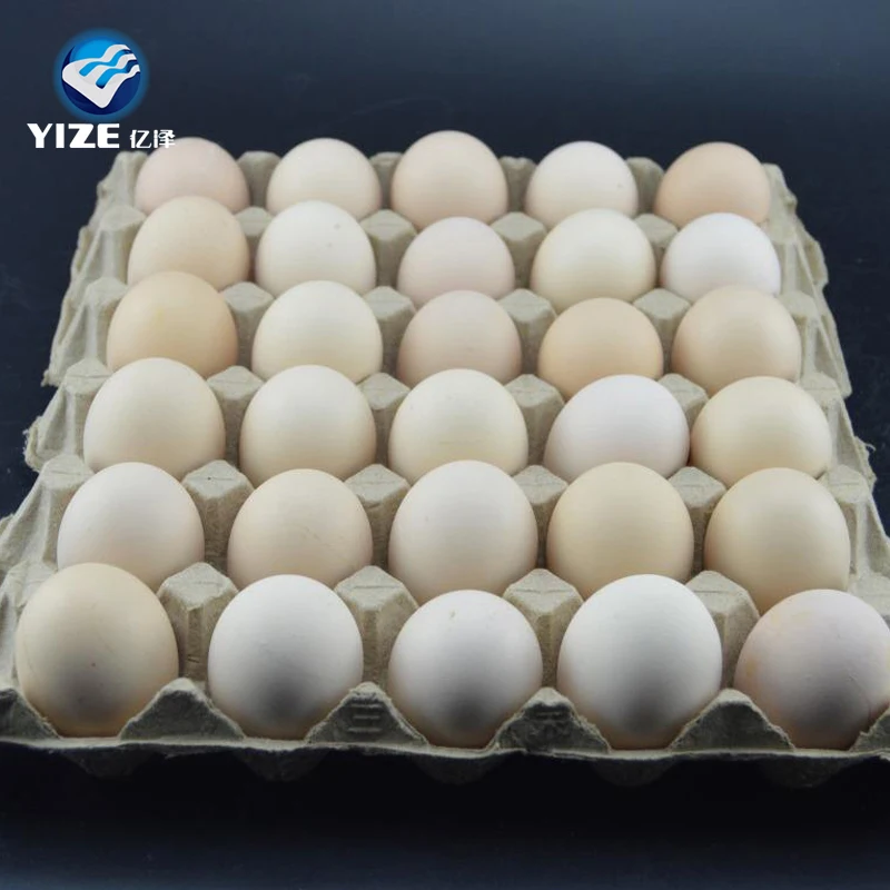 new products 2021 wholesale egg trays making price
